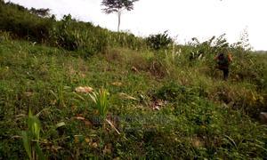 Plots of Land for Sale at Sasaabi. - photo 1