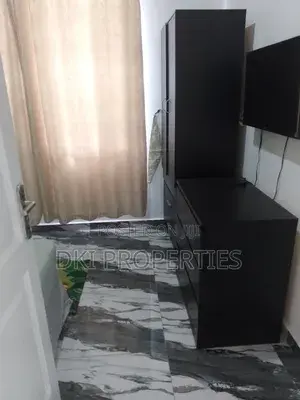 Furnished 3bdrm Apartment In Dki Properties Oyibi For Rent thumbnail 2