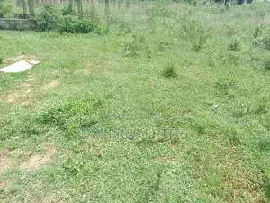 One Acre Roadside Land at Apollonia for Sale thumbnail 2