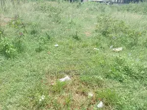 One Acre Roadside Land at Apollonia for Sale thumbnail 3