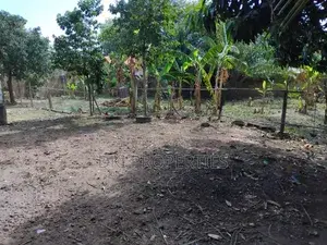 2bdrm House In Dki Properties Adenta For Sale thumbnail 4