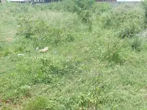 Roadside Land at Tesano for Sale thumbnail 2