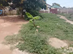Two Plots at Ofankor for Sale thumbnail 2