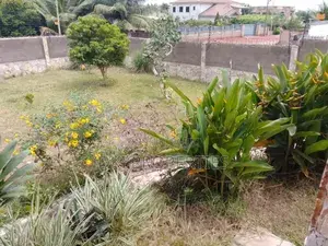 4bdrm House in Dki Properties, Adenta for rent thumbnail 4