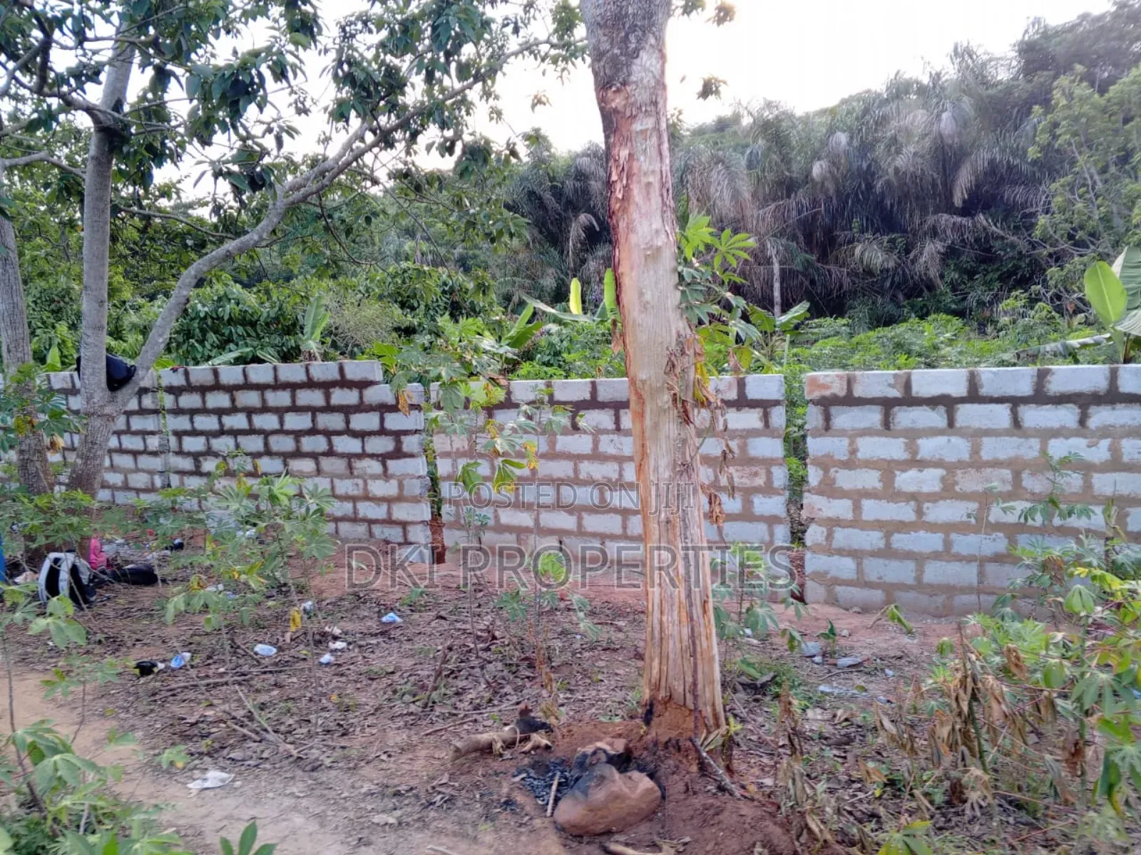 View of a fenced plot of land situated in a clean, high-elevation, residential suburb along the Aburi-Nsawam road, Eastern Region.