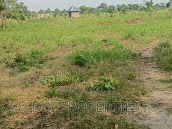 Vast, undeveloped commercial land for sale in Adaklu, Volta Region, situated near the Ho-Denu highway and Ho Airport.