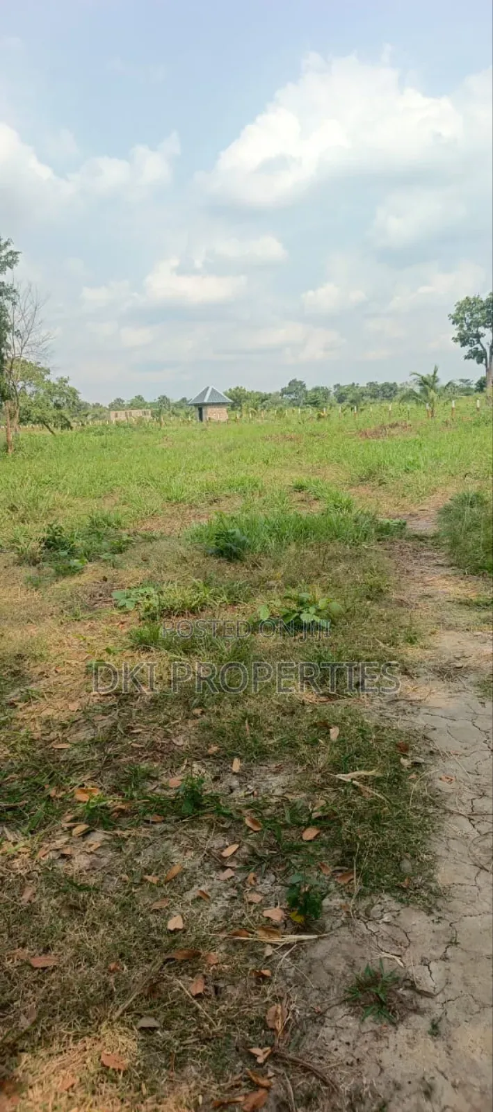 Vast, undeveloped commercial land for sale in Adaklu, Volta Region, situated near the Ho-Denu highway and Ho Airport.