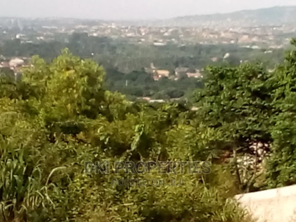 View of a mango farmland in Agomeda, Greater Accra Region, with access to a stream for irrigation and electric supply lines.