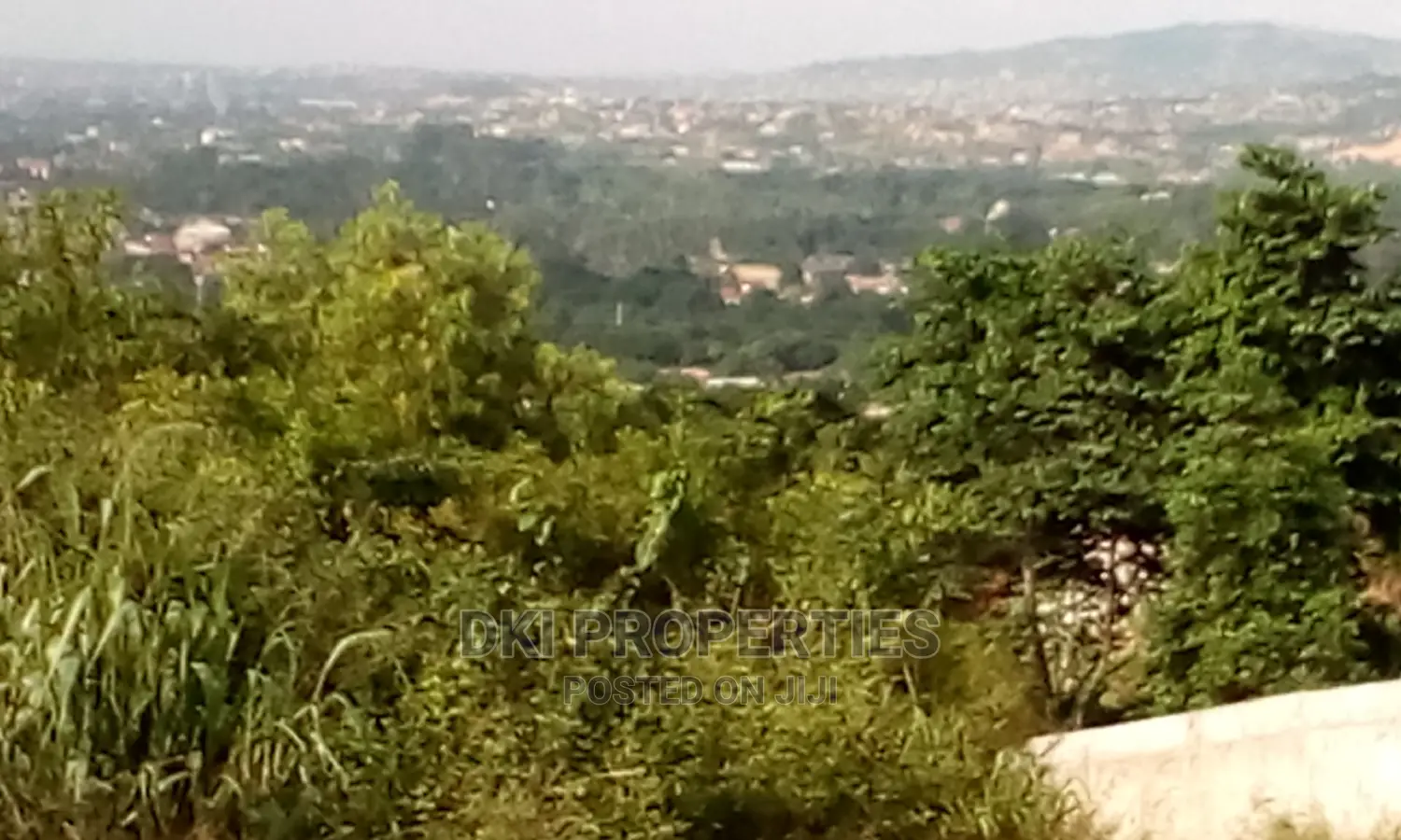 View of a mango farmland in Agomeda, Greater Accra Region, with access to a stream for irrigation and electric supply lines.
