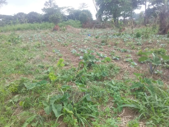 Walled roadside land in Oyibi on the Adenta-Dodowa road with utility access, suitable for mixed-use development, and building materials on site.