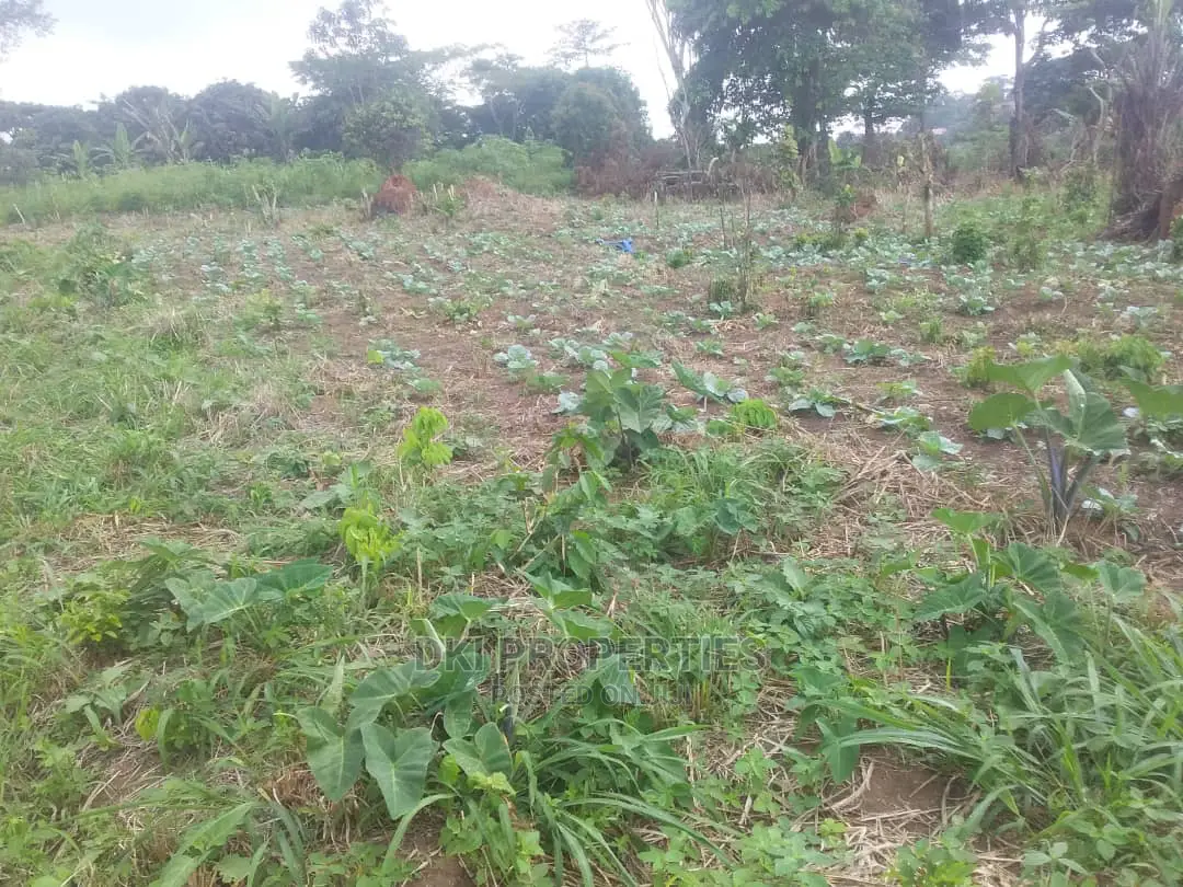 Walled roadside land in Oyibi on the Adenta-Dodowa road with utility access, suitable for mixed-use development, and building materials on site.