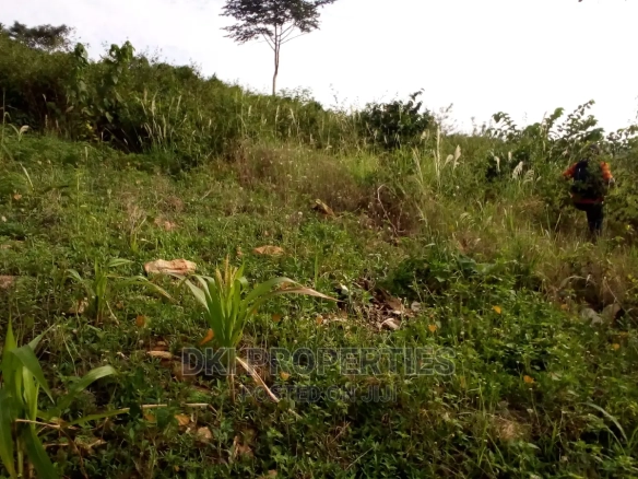 Image of a partially developed residential area in Sasaabi, Oyibi, with electricity poles and water supply lines running along an accessible road.