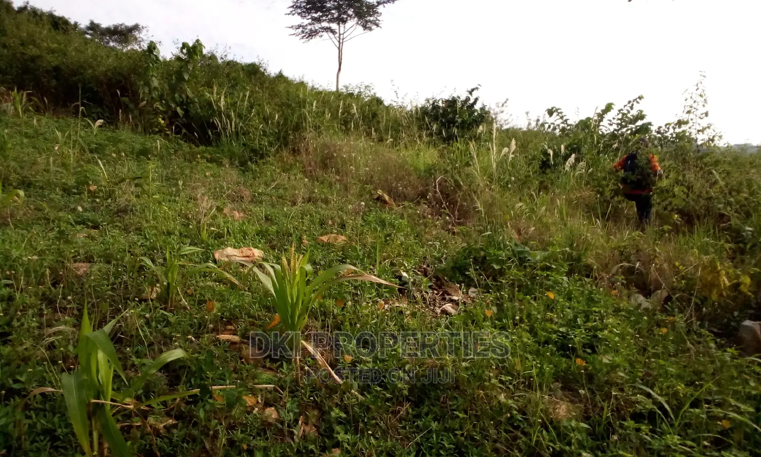 Image of a partially developed residential area in Sasaabi, Oyibi, with electricity poles and water supply lines running along an accessible road.